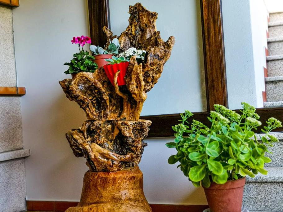 Affittacamere Casa Carolina Vila Seca  Esterno foto